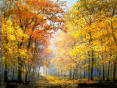 Automne