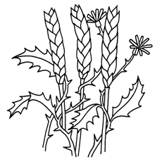 image002